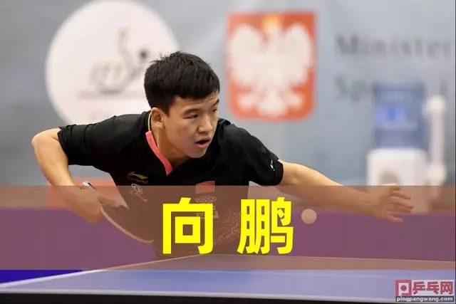 路线A是强 路线A是强